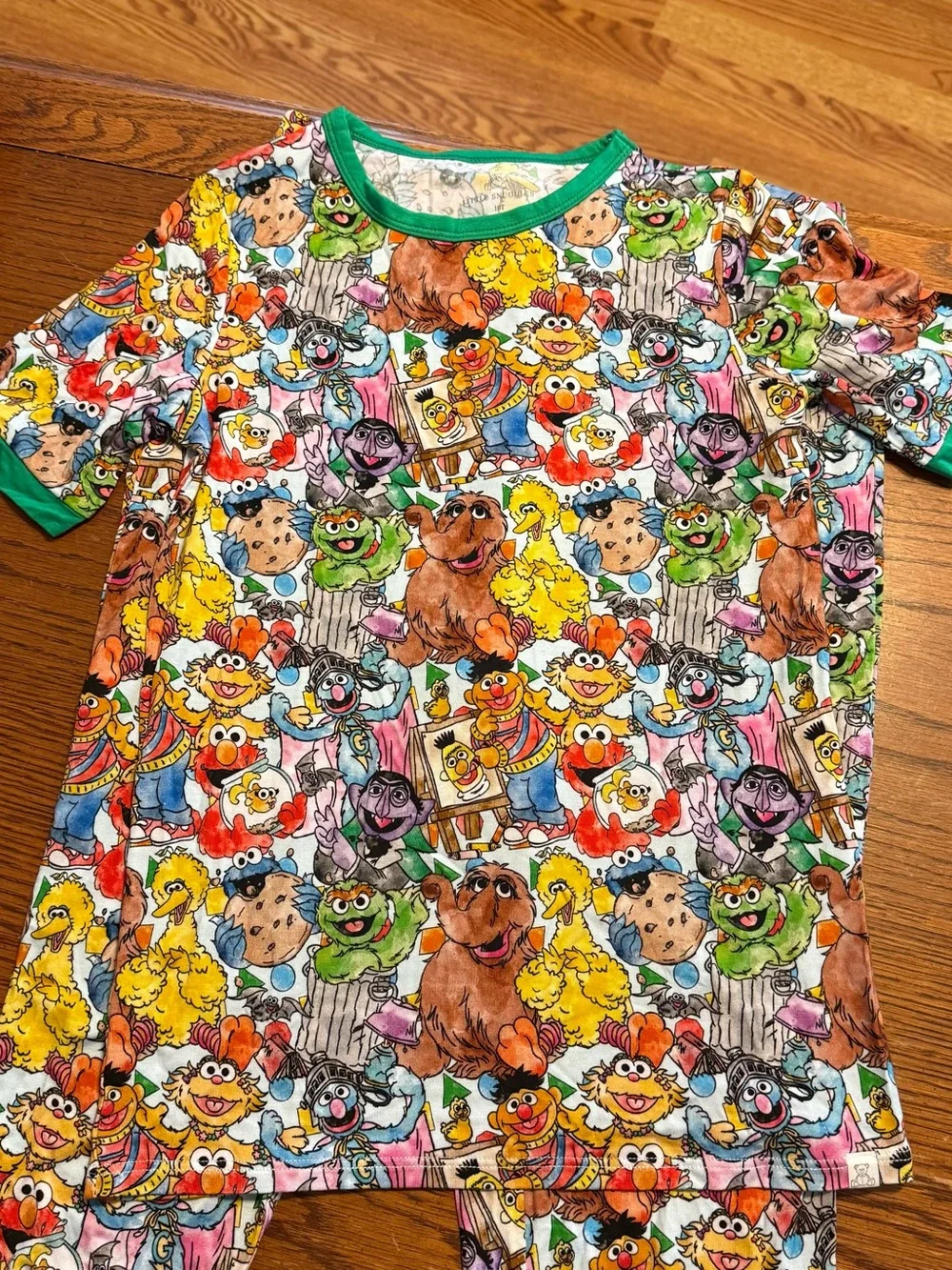 Little Snuggles Boys Girls Size 10T Sesame Street Bamboo Two Piece Pajamas New